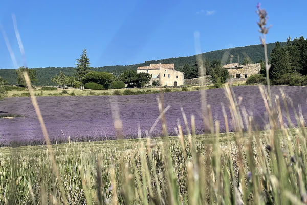 FB-SAULT (FR) / 2021